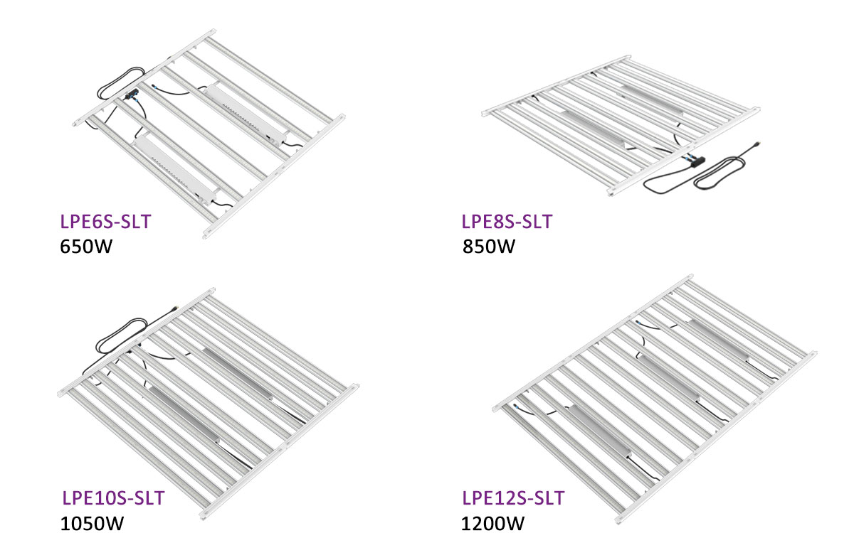 lpe-series-1